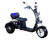 Электротрицикл SKYBOARD MyRussia TRIKE BR60-3000 PRO FAST - Фото 0