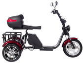 Электротрицикл SKYBOARD TRIKE BR80 - Фото 5