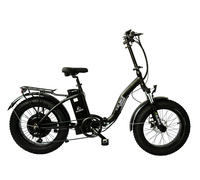 Elbike Taiga 1 Elite